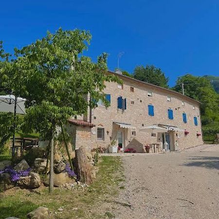 Agriturismo Podere del Bosc Valmareno Esterno foto