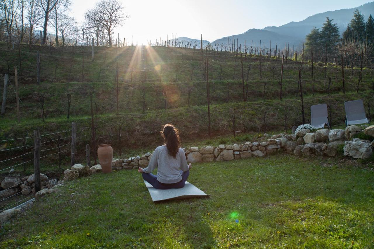 Agriturismo Podere del Bosc Valmareno Esterno foto